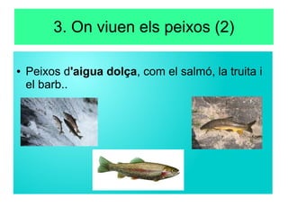 3. On viuen els peixos (2)
● Peixos d'aigua dolça, com el salmó, la truita i
el barb..
 