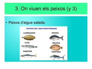 3. On viuen els peixos (y 3)
● Peixos d'aigua salada.
 