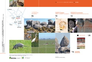 áreas protegidas del uruguay 05. chamangá 4 5
1006 12
16
20
entrevista:
andrés florines
¿Qué? ¿cuándo? ¿quiénes?
escribe
armando olveira ramos
chamangá
la frontera
de piedra
glosario
rupestre
entrevista:
margarita etchegaray
chamangá será un museo de sitio
contratapa
ideaydireccióndeproyectoAlejandroSequeira/investigaciónyredacciónCristinaCasaubou+ArmandoOlveira+AlejandroSequeira
asesoramientodidácticoCeciliaRatti/diseño,diagramaciónyarmadoTrocadero.GabineteDDiseño.contactosTrocaderoTelefax:9012621.Montevideo-Uruguay.
Email:gabinete@trocadero.com.uy
18. biodiversidad: zorro gris / zorrillo. 19. enzona.
proyecto declarado de interés por la comisión nacional del uruguay
para la unesco / unesco / mvotma-snap / dicyt-mec
Ministerio de Vivienda
Ordenamiento Territorial
y Medio Ambiente
3
1
11
3
14
42
5
5
4
43
57
56
14
Paysandú
Trinidad
Colonia
Florida
Canelones
San José
Durazno
Chamangá
Montevideo
 