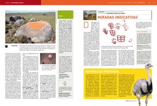 áreas protegidas del uruguay 05. chamangá 8 9ÁREA [ introducción ]
de 1998 la Junta de Flores decla-
ró de interés departamental el
«estudio y preservación del arte
rupestre» en un área que se de-
limitó en la zona de Chamangá.
Ese mismo año hubo un informe
técnico de la Comisión del Patri-
monio Cultural de la Nación, que
describió cómo la actividad mi-
nera afectaba el subsuelo don-
de se ubican las bochas de gra-
nito con pinturas prehistóricas.
Al año siguiente algunas de las
pinturas fueron declaradas Mo-
numento Histórico Nacional, de
acuerdo a la Ley de Patrimonio
14.040. En un principio se las
protegía de la depredación en
un entorno de 80 metros a la re-
donda, aumentándose poste-
riormente a 800 metros.
Como consecuencia de un pe-
dido de ampliación de una de las
canteras de granito de la zona,
en julio de 1999 se creó la Comi-
sión Especial de Chamangá, con
el fin de articular e instrumentar
una propuesta de protección pa-
ra la localidad rupestre, integra-
da por representantes de la In-
tendencia de Flores, dinama, Co-
misión de Patrimonio Cultural de
la Nación, dinamige, Museo Nacio-
nal de Historia Natural, y propie-
tarios de establecimientos del
área.
En diciembre de 2002 la Co-
misión formuló sus conclusio-
nes y recomendaciones, entre
las que se destacaban dos: pre-
sentar al mvotma la solicitud para
que el área delimitada en Cha-
mangá fuera incluida en el Sis-
tema Nacional de Áreas Prote-
gidas (snap) e instrumentar me-
didas urgentes de preservación
del patrimonio arqueológico de
la localidad.
El pedido fue reiterado en
2005, cuando comenzó a funcio-
nar formalmente el snap, mien-
tras la Oficina de Desarrollo de
Flores elaboraba un proyecto,
aprobado por la Oficina de Pla-
neamiento y Presupuesto, pa-
ra delinear la gestión de la lo-
calidad rupestre. Así se creó el
«Equipo Técnico Chamangá»,
formado por la arquitecta Mar-
garita Etchegaray y el arqueó-
logo Andrés Florines, tenien-
do como contraparte municipal
al ingeniero agrónomo Horacio
Irazábal. «Algunos intereses in-
tentan simplificar el proceso di-
ciendo que es un conflicto en-
tre mineros y ganaderos, pero es
bastante más complejo, porque
foto:archivodelsnap[mvotma]
esde 1995 el ba-
rrio Histórico de
Colonia del Sa-
cramento es el
único sitio uru-
guayo declara-
do Patrimonio
Mundial. Además
el país registró en una «Lista In-
dicativa», que es la etapa previa
a la presentación de una candi-
datura, al Barrio Anglo de Fray
Bentos, al Patrimonio Arquitec-
tónico Art Decó de Montevideo y
a la Localidad Rupestre de Cha-
mangá a través de la Delega-
ción Permanente del Uruguay
ante la UNESCO. Desde 2010 el
candombe, el ritmo nacional del
país, y el tango, compartido con
la Argentina, fueron declarados
Patrimonios Inmateriales de la
Humanidad.
«Las pictografías se encuentran
sobre bloques de granito aisla-
dos y redondeados, que forman
parte de los afloramientos roco-
sos característicos de la zona.
En cuanto al estilo de las pin-
turas, éstas registran trazos y
formas geométricas abstractas
y presentan diversos tipos de di-
seño que se repiten, tales como
elementos cruciformes y sus va-
va o Tentativa» además de las
pinturas rupestres de Chaman-
gá: Peruacu (Brasil), Naj Tunich
(Guatemala) y Arte rupestre de
la Patagonia (Chile). l
riantes. En Chamangá aparecen
también diseños menos frecuen-
tes como ser improntas o positi-
vos de manos, pertenecientes a
un panel destruido y otros tam-
bién excepcionales con trazos
grabados muy finos», afirma el
informe. La Localidad Rupestre
de Chamangá aspira a ser un si-
tio de Patrimonio Mundial, pre-
sentado el 21 de agosto de 2009
por la Delegación Permanente.
miradas indicativas
D
Los únicos sitios con arte rupes-
tre en América Latina incluidos
en la Lista del Patrimonio Mun-
dial son: Parque Nacional Se-
rra da Capivara (Brasil), Sierra
de San Francisco (México), Lí-
neas de Nazca y Pampas de Ju-
mana (Perú), Cerro esculpido
de Samaipata (Bolivia) y Cueva
de las Manos, en el río Pinturas,
(Argentina). También, hay otros
que están en la «Lista Indicati-
citas
se trata además de la preserva-
ción de un patrimonio histórico-
cultural que tiene nuestro país,
en un territorio utilizado en for-
ma inadecuada y sin control por
agentes mineros privados», afir-
ma Irazábal. En 2008 se realizó
la audiencia pública convoca-
da por la dinama en el Teatro Ar-
tigas de la ciudad de Trinidad. El
12 de enero de 2010, el enton-
ces presidente de la República,
Dr. Tabaré Vázquez firmó el de-
creto de ingreso de la Localidad
Rupestre de Chamangá al Siste-
ma Nacional de Áreas Protegi-
das con la categoría de manejo:
Paisaje Protegido. l
Chamangá fue presentada para ingresar
a la Lista del Patrimonio Mundial de UNESCO
Sus afloramientos rocosos
están definidos por un en-
torno achaparrado y la flo-
ra arbustiva de un monte
de matorrales donde cre-
cen especies indígenas:
tala (Celtis tala), blanqui-
llo (Sebastiania brasilien-
sis), molle (Schinus longi-
folius), sauce criollo (Salix
humboldtiana), tembetarí
(Zanthoxylum rhoifolium),
coronilla (Scutia buxifolia).
Dentro de su ecosistema
de pradera, con cuerpos de
agua y montes asociados, hay
aproximadamente 80 tipos de
aves, entre las que llaman la
atención: el chajá (Chauna tor-
quata) [ver página 18], el chu-
rrinche (Pyrocephalus rubin-
us), el espinero (Anumbius an-
numbi), cuyo biotopo lo cons-
tituye la pradera y el monte, el
gargantillo (Sporophila caeru-
lescens), el cardenal copete ro-
jo (Paroaria coronata) y la garza
blanca (Ardea alba) que se divi-
sa en los humedales y espejos
de agua.
naturaleza protegida
Vive también en la zona, una
especie emblemática de nues-
tras praderas, que es conside-
rada prioritaria dentro del Área
Protegida Chamangá: el ñandú
(Rhea americana). También es
interesante la presencia de
la mulita (Dasypus hybri-
dus), el zorro gris (Lycalo-
pex gymnocercus gymno-
cercus), el zorrillo (Cone-
patus chinga suffocans),
el carpincho (Hydro-
choerus hydrochaeris) y
una variedad de lagartos
y lagartijas. l
«La protección de sitio tie-
ne la finalidad de proteger-
lo todo, no sólo las picto-
grafías».
Margarita Etchegaray
Arquitecta especializada en
Gestión de Espacios Naturales
y Educación Ambiental.
Tres razones
«La Localidad Rupestre de Cha-
mangá tiene todas las condicio-
nes para ser declarada Patrimo-
nio Mundial, por tres aspectos
fundamentales: calidad espa-
cial del paisaje, identificación de
una unidad manejable y singu-
lar, y la conciencia que demostró
tener la comunidad local».
[Nuria Sanz, experta española,
responsable para América Latina
del Centro de Patrimonio Mundial
de UNESCO].
«Integrar la lista del Patrimonio
Mundial es un sello de presti-
gio, el reconocimiento a un va-
lor excepcional e implica la res-
ponsabilidad de los ciudadanos
por su preservación y la interac-
ción de la gente y su espacio».
[Andrés Florines, arqueólogo res-
ponsable de la Localidad Ru-
pestre de Chamangá].
Ñandú [Rhea americana]
Hasta fines de la década del ochenta eran conocidos 13 murales, a los que
se sumaron 28 nuevos en los noventa. Dicho aumento no se debió a nuevas
técnicas de estudio sino al interés que se logró incentivar en propietarios y
habitantes del lugar y su consiguiente cooperación.
La mayoría de las boleado-
ras y morteros hallados en
las excavaciones son de gra-
nito, neis o areniscas.
registros
Interpretación de la pictografía del bloque N CH I-2 [PO CH 1B],
con positivos de manos. [Consens M. & Y. Bespali 1981].
«Las pinturas de Cha-
mangá son conocidas
desde hace más de un si-
glo. La primera presenta-
ción científica fue realiza-
da en 1916 por el odon-
tólogo trinitario Agustín
Larrauri en el Congre-
so Argentino de Ciencias
Naturales. Desde enton-
ces hubo muchas investi-
gaciones allí y en otros si-
tios. Este dato denuncia el
desconocimiento que en
general hay de este tema,
porque si hace bastante
más de cien años que se
descubrieron las pinturas
¿cómo puede ser que la
gente se sorprenda? Tie-
ne que ver con la relación
del uruguayo con su pre-
historia, y digo con «su»
prehistoria, no con la pre-
historia».
«El hombre también es
parte del ambiente. A ve-
ces se lo separa como si
fuera de una naturaleza
diferente pero no, el hom-
bre es un valor incluido
en el paisaje y en este caso
los testimonios del hom-
bre en la prehistoria es-
tán incluidos dentro de la
lógica de protección que
tiene el Sistema de Áreas
Protegidas».
Andrés Florines
Arqueólogo responsable
de la Localidad Rupestre
Chamangá.
.
 