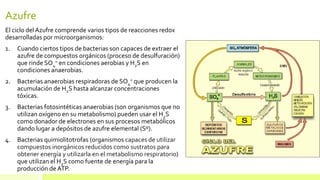 Azufre
El ciclo del Azufre comprende varios tipos de reacciones redox
desarrolladas por microorganismos:
1. Cuando ciertos tipos de bacterias son capaces de extraer el
azufre de compuestos orgánicos (proceso de desulfuración)
que rinde SO4
= en condiciones aerobias y H2S en
condiciones anaerobias.
2. Bacterias anaerobias respiradoras de SO4
= que producen la
acumulación de H2S hasta alcanzar concentraciones
tóxicas.
3. Bacterias fotosintéticas anaerobias (son organismos que no
utilizan oxígeno en su metabolismo) pueden usar el H2S
como donador de electrones en sus procesos metabólicos
dando lugar a depósitos de azufre elemental (Sº).
4. Bacterias quimiolitotrofas (organismos capaces de utilizar
compuestos inorgánicos reducidos como sustratos para
obtener energía y utilizarla en el metabolismo respiratorio)
que utilizan el H2S como fuente de energía para la
producción de ATP.
 