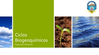 Ciclos
Biogeoquímicos
Hugo Castro Pomatana
 