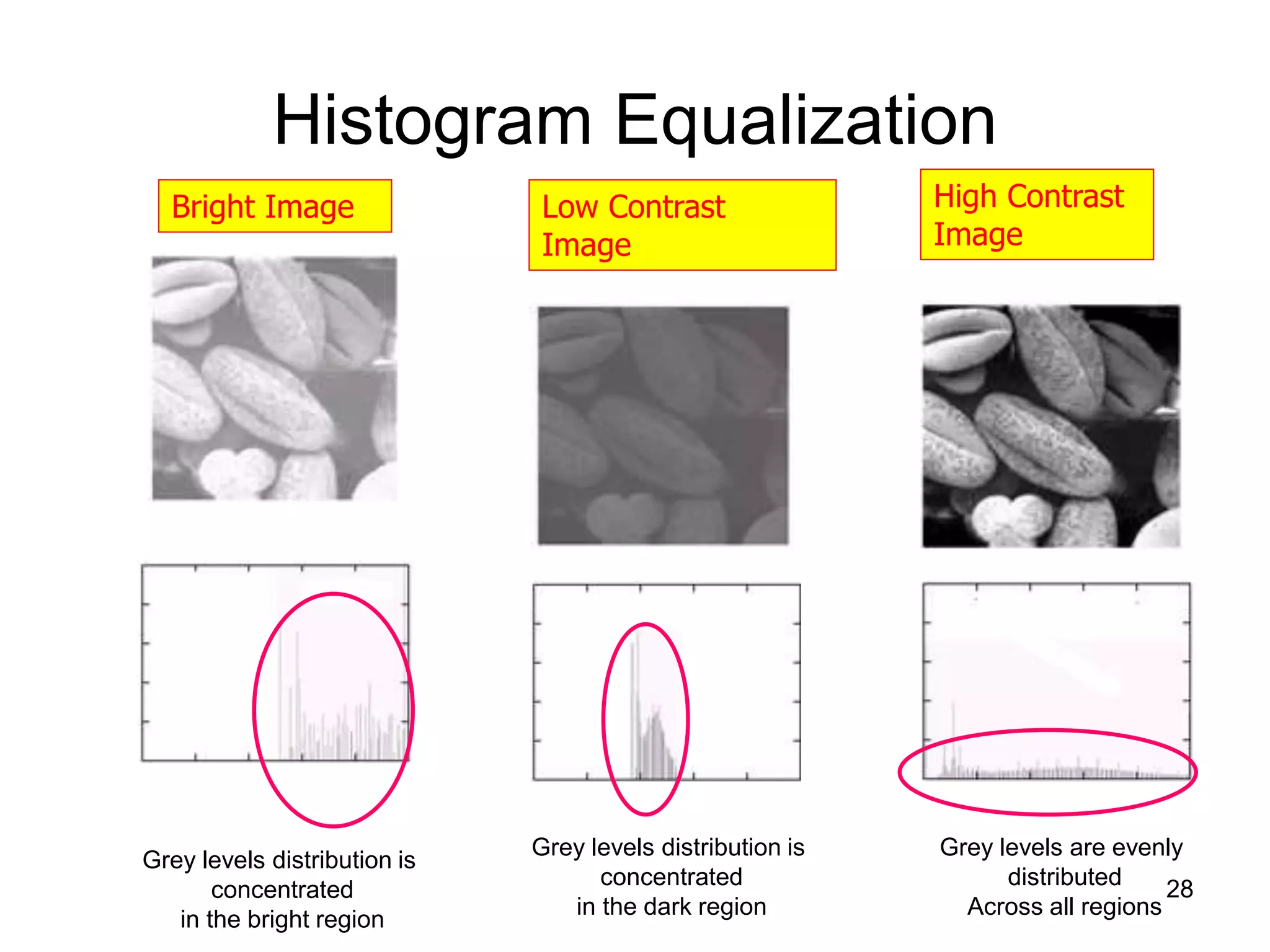 Histogram Equalization
Bright Image Low Contrast
Image
High Contrast
Image
Grey levels distribution is
concentrated
in the bright region
Grey levels distribution is
concentrated
in the dark region
Grey levels are evenly
distributed
Across all regions
28
 