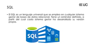 Sql Estandar Base de Datos en Microsoft SQL Server 2024 | PDF