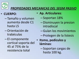 PROPIEDADES MECANICAS DEL SEGM PASIVO
• CUERPO:                • Ap. Articulares:
   – Tamaño y volumen       – Soportan 18%
     aumenta desde C1       – Disminuyen la presion
     hasta L5                 intradiscal
   – Orientación de         – Guían los movimientos
     trabéculas             – Protegen de la listesis
   – El componente       • Itsmo, pedículos y
     cortical soporta del láminas:
     45 al 75% de la
                            – Soportan cargas de
     resistencia total
                              hasta 100 kg.
 