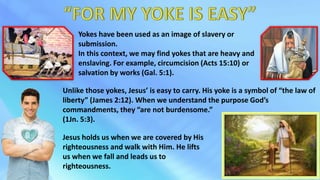 Yokes have been used as an image of slavery or
submission.
In this context, we may find yokes that are heavy and
enslaving. For example, circumcision (Acts 15:10) or
salvation by works (Gal. 5:1).
Unlike those yokes, Jesus’ is easy to carry. His yoke is a symbol of “the law of
liberty” (James 2:12). When we understand the purpose God’s
commandments, they “are not burdensome.”
(1Jn. 5:3).
Jesus holds us when we are covered by His
righteousness and walk with Him. He lifts
us when we fall and leads us to
righteousness.
 