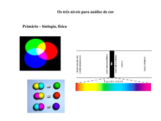 Os três níveis para análise de cor


Primário – biologia, física
 