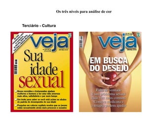 Os três níveis para análise de cor


Terciário - Cultura
 