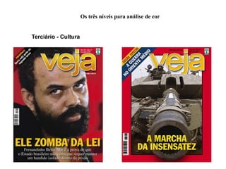 Os três níveis para análise de cor


Terciário - Cultura
 