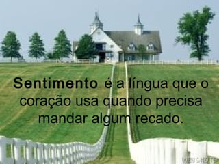 Sentimento é a língua que o
 coração usa quando precisa
    mandar algum recado.
 