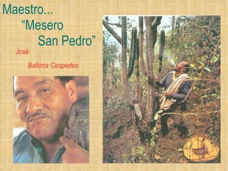 Maestro...   “ Mesero    San Pedro ” José  Ballona Cespedes 