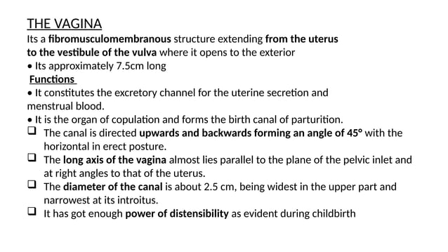 05 DAY FIVE female genitalia(Anatomy,Physiology,Pathology).pptx