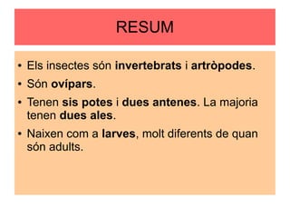 RESUM
● Els insectes són invertebrats i artròpodes.
● Són ovípars.
● Tenen sis potes i dues antenes. La majoria
tenen dues ales.
● Naixen com a larves, molt diferents de quan
són adults.
 