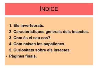 ÍNDICE
1. Els invertebrats.
2. Característiques generals dels insectes.
3. Com és el seu cos?
4. Com naixen les papallones.
5. Curiositats sobre els insectes.
● Pàgines finals.
 