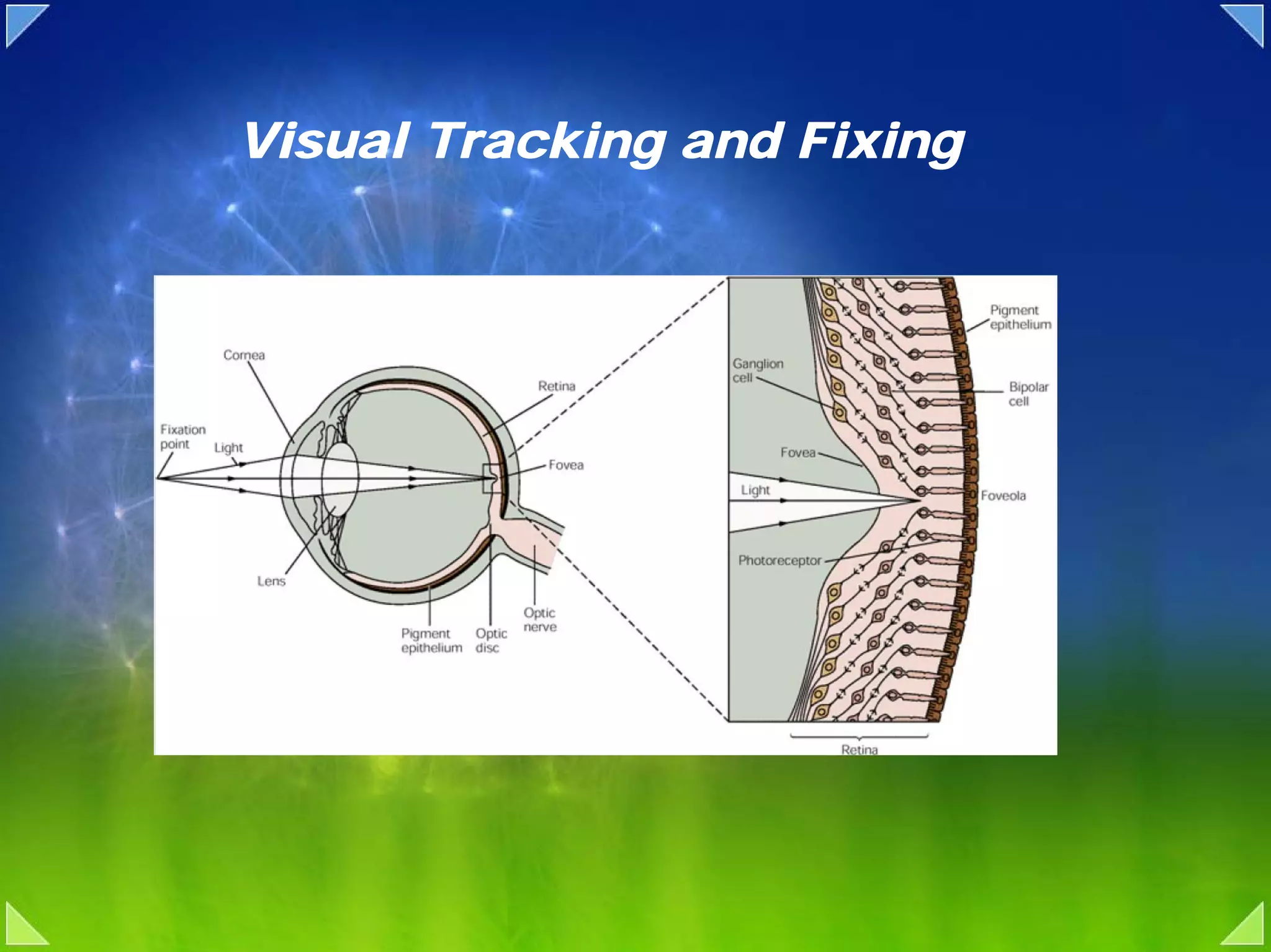 Visual Tracking and Fixing
 
