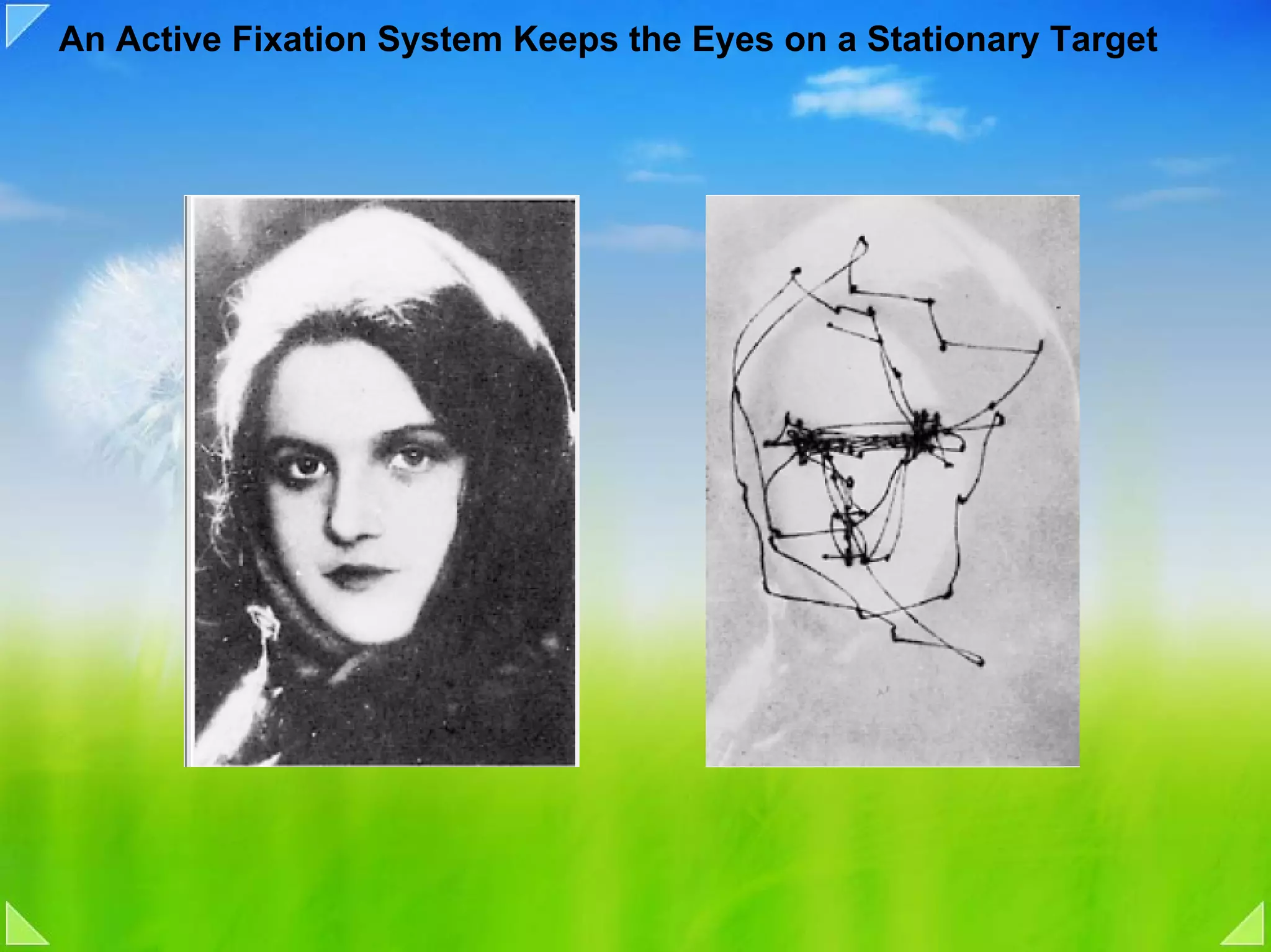 An Active Fixation System Keeps the Eyes on a Stationary Target
 