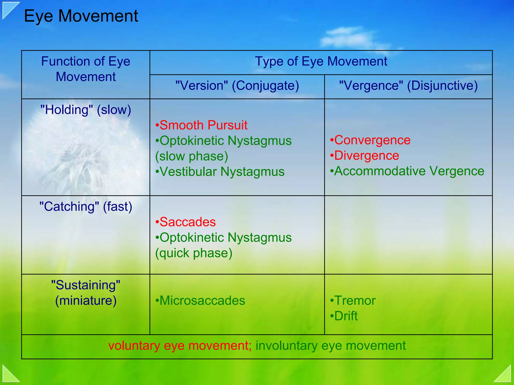 Eye Movement

 Function of Eye                      Type of Eye Movement
   Movement
                        "Version" (Conjugate)     "Vergence" (Disjunctive)
 "Holding" (slow)
                     •Smooth Pursuit
                     •Optokinetic Nystagmus      •Convergence
                     (slow phase)                •Divergence
                     •Vestibular Nystagmus       •Accommodative Vergence

 "Catching" (fast)
                     •Saccades
                     •Optokinetic Nystagmus
                     (quick phase)

   "Sustaining"
    (miniature)      •Microsaccades              •Tremor
                                                 •Drift

             voluntary eye movement; involuntary eye movement
 
