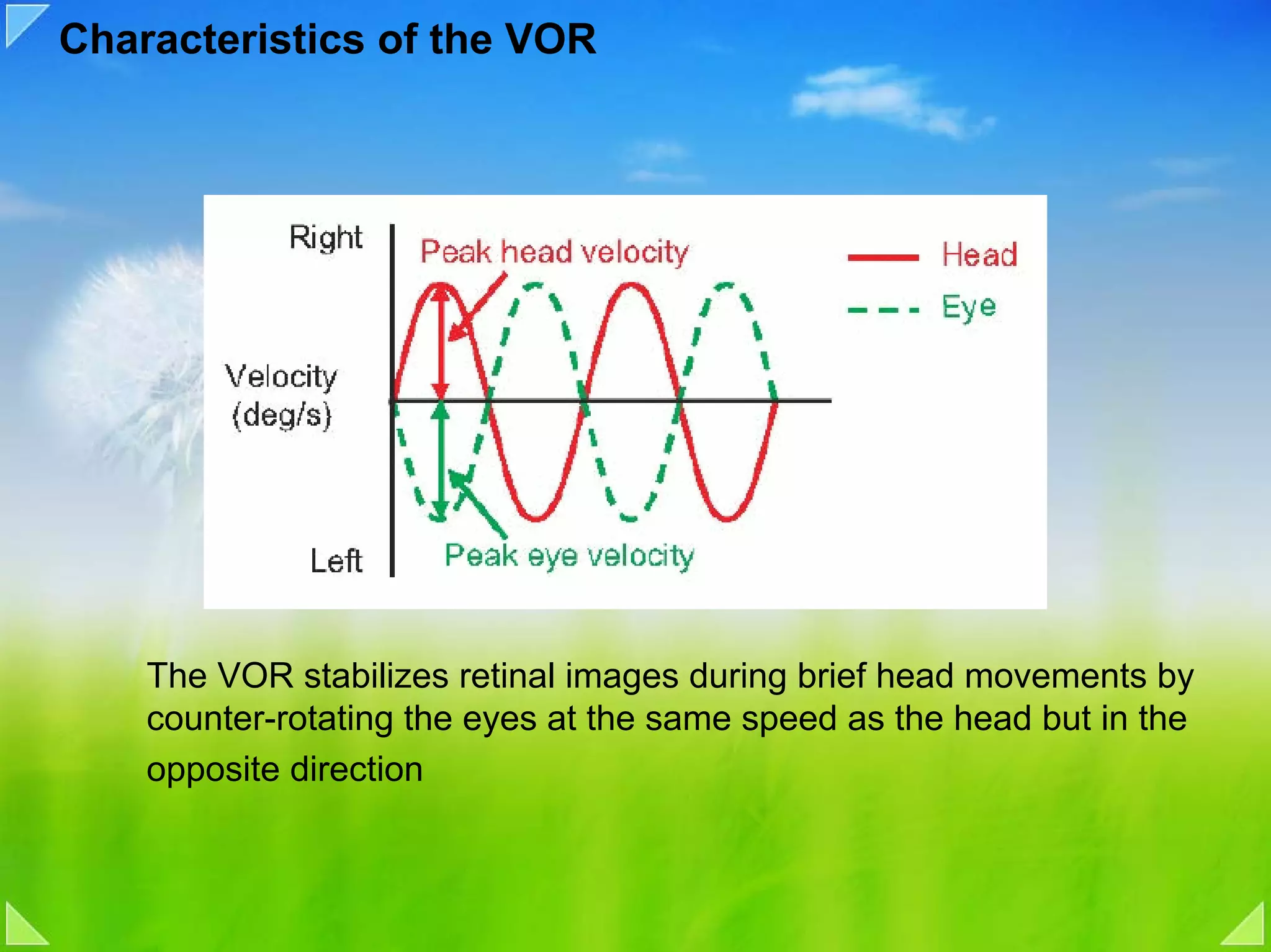 Characteristics of the VOR




    The VOR stabilizes retinal images during brief head movements by
    counter-rotating the eyes at the same speed as the head but in the
    opposite direction
 