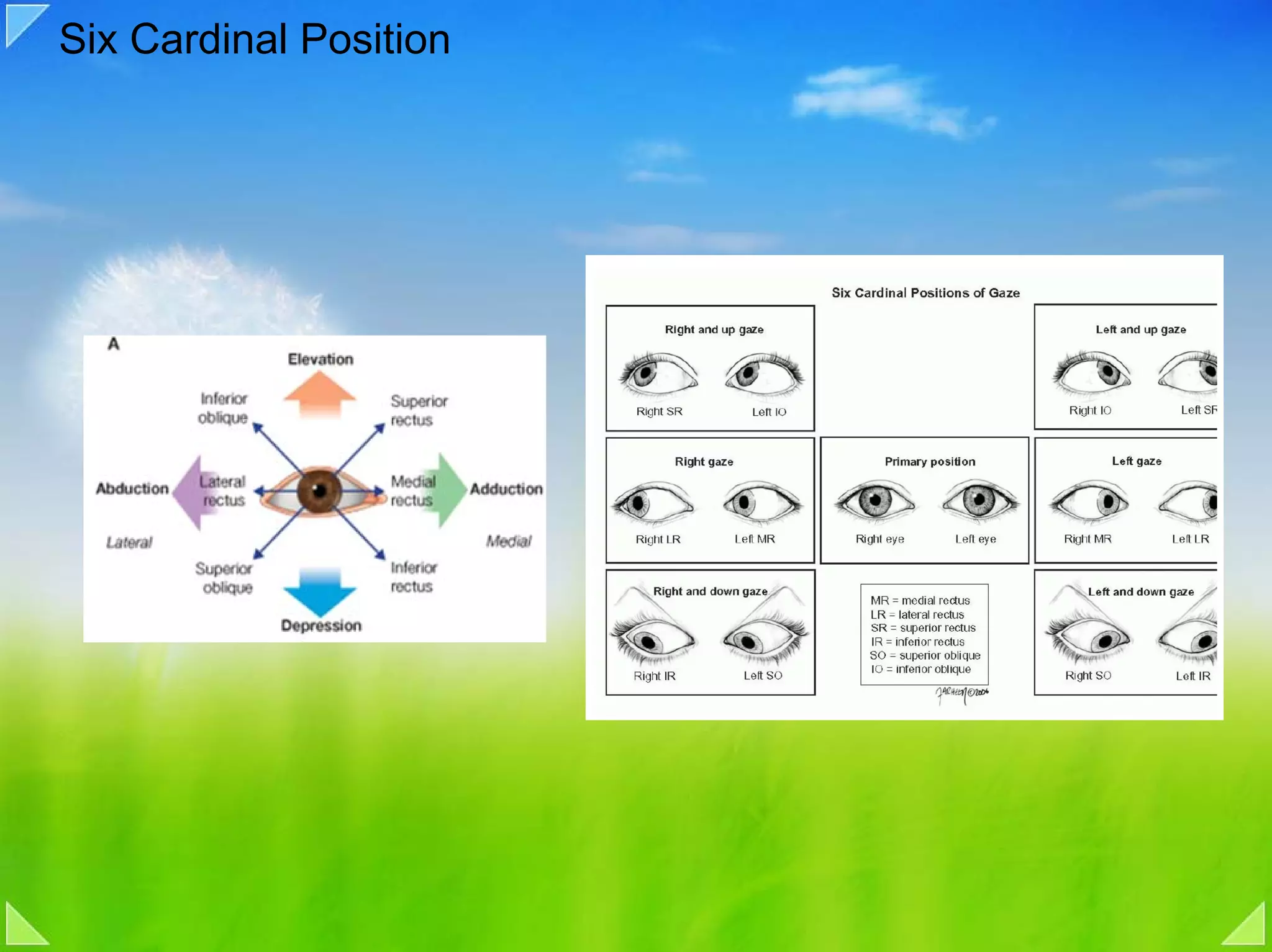 Six Cardinal Position
 