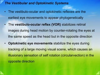 The Vestibular and Optokinetic Systems

• The vestibulo-ocular and optokinetic reflexes are the
  earliest eye movements to appear phylogenetically

• The vestibulo-ocular reflex (VOR) stabilizes retinal
  images during head motion by counter-rotating the eyes at
  the same speed as the head but in the opposite direction

• Optokinetic eye movements stabilize the eyes during
  tracking of a large moving visual scene, which causes an
  illusionary sensation of self rotation (circularvection) in the
  opposite direction
 