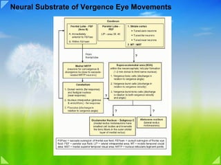 Neural Substrate of Vergence Eye Movements
 