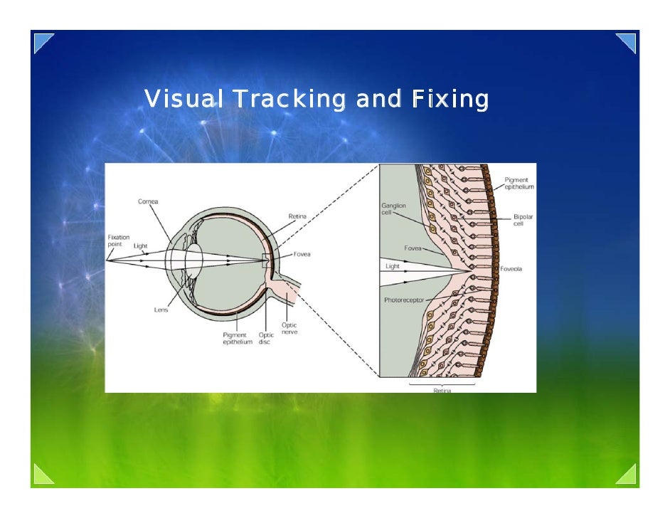 05d eye movement control