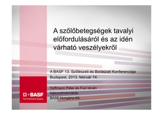 A szőlőbetegségek tavalyi
  előfordulásáról és az idén
  várható veszélyekről


A BASF 13. Szőlészeti és Borászati Konferenciája
Budapest, 2013. február 14.

Hoffmann Péter és Füzi István
fejlesztőmérnökök
BASF Hungária Kft.
 