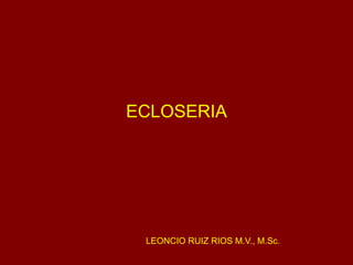 ECLOSERIA
LEONCIO RUIZ RIOS M.V., M.Sc.
 