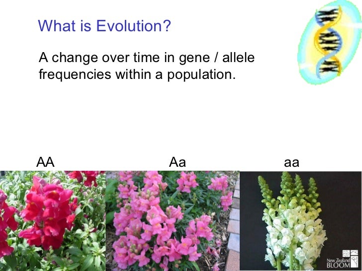 What Does Natural Selection Need To Occur What Does Natural Selection Need To Occur