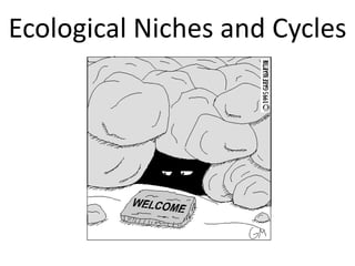 Ecological Niches and Cycles
 