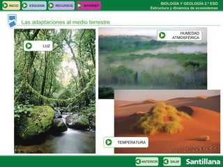 BIOLOGÍA Y GEOLOGÍA 2.º ESO
Estructura y dinámica de ecosistemas
INICIO ESQUEMA RECURSOS INTERNET
Las adaptaciones al medio terrestre
SALIRANTERIOR
LUZ
HUMEDAD
ATMOSFÉRICA
TEMPERATURA
 