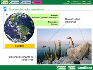 BIOLOGÍA Y GEOLOGÍA 2.º ESO
Estructura y dinámica de ecosistemas
Componentes de los ecosistemas
INICIO ESQUEMA RECURSOS INTERNET
SALIRANTERIOR
Biotopo: parte
inorgánica
Biocenosis: conjunto de
seres vivos
Ecosfera
Biotopo:
Atmósfera, geosfera, hidrosfera
Biocenosis:
Biotopo
 