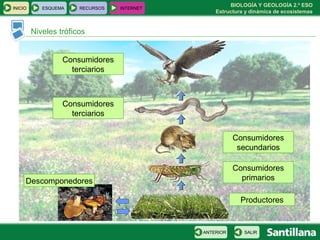 BIOLOGÍA Y GEOLOGÍA 2.º ESO
Estructura y dinámica de ecosistemas
INICIO ESQUEMA RECURSOS INTERNET
Niveles tróficos
SALIRANTERIOR
Descomponedores
Productores
Consumidores
primarios
Consumidores
secundarios
Consumidores
terciarios
Consumidores
terciarios
 