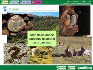 BIOLOGÍA Y GEOLOGÍA 2.º ESO
Estructura y dinámica de ecosistemas
INICIO ESQUEMA RECURSOS INTERNET
El hábitat
SALIRANTERIOR
Área física donde
podemos encontrar
un organismo
 