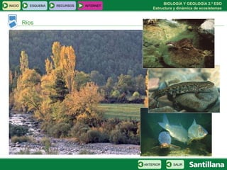 BIOLOGÍA Y GEOLOGÍA 2.º ESO
Estructura y dinámica de ecosistemas
INICIO ESQUEMA RECURSOS INTERNET
Ríos
SALIRANTERIOR
 