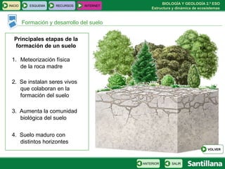 BIOLOGÍA Y GEOLOGÍA 2.º ESO
Estructura y dinámica de ecosistemas
INICIO ESQUEMA RECURSOS INTERNET
Formación y desarrollo del suelo
SALIRANTERIOR
1. Meteorización física
de la roca madre
2. Se instalan seres vivos
que colaboran en la
formación del suelo
3. Aumenta la comunidad
biológica del suelo
4. Suelo maduro con
distintos horizontes
Principales etapas de la
formación de un suelo
VOLVER
 