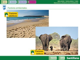 BIOLOGÍA Y GEOLOGÍA 2.º ESO
Estructura y dinámica de ecosistemas
INICIO ESQUEMA RECURSOS INTERNET
Factores ambientales
SALIRANTERIOR
Factores
abióticos
Factores
bióticos
 