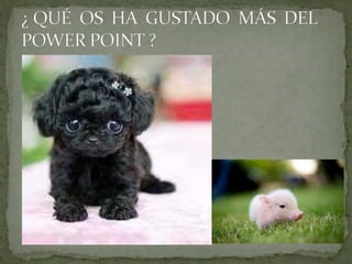 05 Edad Contemporánea 3C