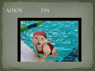 05 Edad Contemporánea 3C