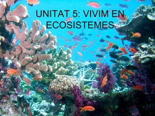 UNITAT 5: VIVIM EN 
ECOSISTEMES 
 