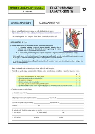 Unidad 5 CIENCIAS NATURALES                                                 EL SER HUMANO:
                      ALUMNADO                                              LA NUTRICIÓN (II)
                                                                                                                                   12


 cont. Ficha 4 (Actividad 4)                           LA CIRCULACIÓN (1ª Parte)



3- Mira en la pantalla la imagen en la que se ve la circulación de la sangre.
   http://centros6.pntic.mec.es/cea.pablo.guzman/cc_naturales/aparato_circulatorio.htm

   Lee el texto siguiente para completar lo que debes saber sobre la circulación:


LA CIRCULACIÓN (2ª Parte)

Se habla de doble circulación por los dos circuitos que existen en el proceso.
           • La circulación pulmonar conduce la sangre hasta los pulmones. En los
             pulmones esta sangre libera el dióxido de carbono y se carga de oxígeno
             (acuérdate de lo que has estudiado en la respiración).
          • En la circulación general la sangre con oxígeno (oxigenada) y cargada de nutrientes recorre todo el cuerpo.

    Así circula la sangre en el interior del corazón: la sangre oxigenada llega a la aurícula izquierda del corazón por unas venas.
    De aquí pasa al ventrículo izquierdo y sale por una arteria (la aorta) hacia todo el cuerpo.

    La sangre con dióxido de carbono llega a la aurícula derecha por otras venas, pasa al ventrículo derecho y sale por otra
    arteria hacia los pulmones.


   Ahora vas a explicar lo que aparece en el texto, utilizando sólo la imagen.
4- Teniendo en cuenta lo que has aprendido en los dos textos contesta si son verdaderas o falsas las siguientes frases:

                                                                                                                           V   F
             1- La sangre lleva los nutrientes por todo el cuerpo                                                          □   □
             2- Las venas son los conductos más estrechos                                                                  □   □
             3- El corazón es un órgano                                                                                    □   □
             4- Las dos aurículas están comunicadas                                                                        □   □
             5- La sangre que sale del corazón la transportan las arterias                                                 □   □
             6- En el interior del corazón la sangre oxigenada llega por una arteria a la aurícula izquierda del corazón   □   □

5- Completa los huecos de las frases:

   La circulación es un proceso _______________________________________________________________________________________
   ______________________________________________________________________________________________________________
   El líquido que recorre o circula por el cuerpo es ___________________ Es un líquido _________________________________________
   ______________________________________________________________________________________________________________
   El aparato encargado de la circulación es _________________________ Está formado por _____________________________________
   Los vasos _______________________________ son: __________________________________________________________________
   ______________________________________________________________________________________________________________
   Se habla de doble circulación porque existen dos circuitos: _____________________________ y ________________________________
   En la circulación _________________________ la sangre va a los _______________________y allí______________________________
   ______________________________________________________________________________________________________________
   En la circulación_____________________la sangre ______________________________ recorre _______________________________
   ______________________________________________________________________________________________________________
 