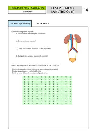 Unidad 5 CIENCIAS NATURALES                                            EL SER HUMANO:
                      ALUMNADO                                         LA NUTRICIÓN (II)
                                                                                                  14


cont. Ficha 5 (Actividad 5)                   LA EXCRECIÓN



 1- Contesta a las siguientes preguntas:
         a) ¿De qué función vital forma parte la excreción?



         b) ¿En qué consiste la excreción?



         c) ¿Qué es una sustancia de desecho y cómo se produce?



         d) ¿Qué partes del cuerpo se ocupan de la excreción?




 2- Tienes un revoltigrama con ocho palabras que tienen que ver con la excreción.

   Debes encontrarlas (en vertical, horizontal, de abajo arriba y de arriba abajo).
   Cópialas fuera del cuadro y escribe la definición.
   Señala las partes del aparato excretor en la figura de arriba.

                       P       R      R      S      H       N      X      C      Ñ    M   U   A
                       A      G       Z      Y      A       S      U      D      O    R   E   I
                       L       U      G       I     N       E      V      R       J   U   V   J
                       O       Z      L      B       I      N      G      E      K    R   E   H
                       R       I      A      B      L       O      C      X      E    E   J   N
                        I      E      N      U      C       Ñ      A      Z      O    T   I   L
                       N       A      D      H      C       I      Y      M      W    E   G   M
                       A       S      U      D      O       R      I      P      A    R   A   S
                       B       T      L      A      F       T      L      Ñ      C    E   V   U
                       U       L      A      D      R       I      F      O      N    S   E   C
                       S       A      S       I     P       U      R      E      T    R   A   L
                       R       I      Z      O      S       I      P      A      Ñ    U   R   E
 