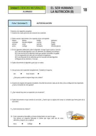 Unidad 5 CIENCIAS NATURALES                                          EL SER HUMANO:
                     ALUMNADO                                        LA NUTRICIÓN (II)
                                                                                                                        18


  Ficha 7 (Actividad 7)                      AUTOEVALUACIÓN



Contesta a las siguientes preguntas:
1- Enumera los cuatro procesos de la función de la nutrición


2- Debes asociar cada término con el aparato al que corresponde:
   riñones         dientes                 faringe                    pulmones
   estómago        intestino delgado       corazón                    lengua
   arterias        venas                   aurícula                   hígado
   uretra          esófago                 bronquios                  intestino grueso

3- De las siguientes definiciones sobre la digestión, escoge la que te parece correcta:
        a) El calor del tubo digestivo cuece los alimentos, los ablanda y los deshace.
        b) Es una mezcla de los alimentos hasta que quedan convertidos en papilla.
        c) Es la separación de lo útil y de lo no útil para el organismo.
        d) Es una trituración de los alimentos por los músculos del tubo digestivo.
        e) Ninguna de las anteriores. Creo que…

4- Explica brevemente la digestión y para qué se realiza.



5- Una persona está respirando tranquilamente. Completa el esquema:

     aire        ►         fosas nasales       ►

     ¿Qué pasa cuando el oxígeno llega a las células?


6- Enumera los órganos del aparato circulatorio. Describe brevemente cada uno de ellos y haz un dibujo del más importante.
   ¿Cuál es la función de este aparato?



7- ¿Qué relación hay entre la respiración y la circulación?



8- Explica brevemente en qué consiste la excreción. ¿Todo lo que se expulsa del cuerpo se considera que forma parte de la
   excreción?



9- ¿Cómo funcionan los riñones?



10- Estás comiendo un bocadillo y al mismo tiempo bebes un vaso de agua.
    Haz primero un esquema indicando el camino que sigue cada uno de estos
    alimentos y luego lo vas a explicar.

     boca          ►         esófago             ►
 