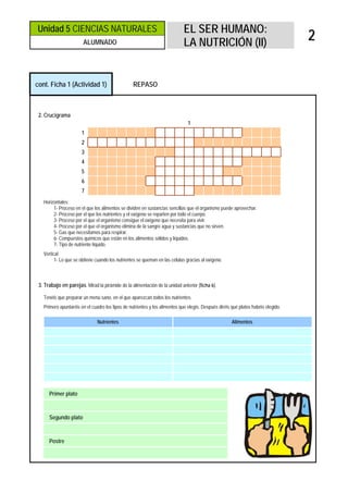 Unidad 5 CIENCIAS NATURALES                                                 EL SER HUMANO:
                        ALUMNADO                                            LA NUTRICIÓN (II)
                                                                                                                                   2


cont. Ficha 1 (Actividad 1)                       REPASO



 2. Crucigrama
                                                                               1
                       1
                       2
                       3
                       4
                       5
                       6
                       7
   Horizontales:
        1- Proceso en el que los alimentos se dividen en sustancias sencillas que el organismo puede aprovechar.
        2- Proceso por el que los nutrientes y el oxígeno se reparten por todo el cuerpo.
        3- Proceso por el que el organismo consigue el oxígeno que necesita para vivir.
        4- Proceso por el que el organismo elimina de la sangre agua y sustancias que no sirven.
        5- Gas que necesitamos para respirar.
        6- Compuestos químicos que están en los alimentos sólidos y líquidos.
        7- Tipo de nutriente líquido.
   Vertical
         1- Lo que se obtiene cuando los nutrientes se queman en las células gracias al oxígeno.



 3. Trabajo en parejas. Mirad la pirámide de la alimentación de la unidad anterior (ficha 6).

   Tenéis que preparar un menú sano, en el que aparezcan todos los nutrientes.
   Primero apuntaréis en el cuadro los tipos de nutrientes y los alimentos que elegís. Después diréis qué platos habéis elegido.

                               Nutrientes                                                             Alimentos




      Primer plato



      Segundo plato



      Postre
 