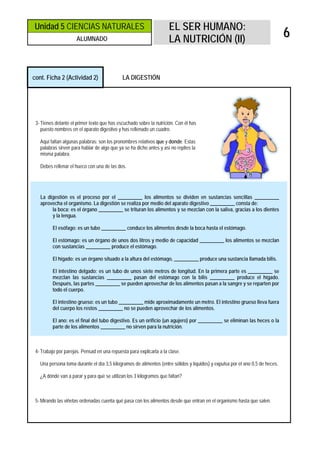 Unidad 5 CIENCIAS NATURALES                                          EL SER HUMANO:
                      ALUMNADO                                       LA NUTRICIÓN (II)
                                                                                                                               6


cont. Ficha 2 (Actividad 2)                  LA DIGESTIÓN




 3- Tienes delante el primer texto que has escuchado sobre la nutrición. Con él has
    puesto nombres en el aparato digestivo y has rellenado un cuadro.

   Aquí faltan algunas palabras: son los pronombres relativos que y donde. Estas
   palabras sirven para hablar de algo que ya se ha dicho antes y así no repites la
   misma palabra.

   Debes rellenar el hueco con una de las dos.




   La digestión es el proceso por el __________ los alimentos se dividen en sustancias sencillas __________
   aprovecha el organismo. La digestión se realiza por medio del aparato digestivo __________ consta de:
        la boca: es el órgano __________ se trituran los alimentos y se mezclan con la saliva, gracias a los dientes
        y la lengua.

         El esófago: es un tubo __________ conduce los alimentos desde la boca hasta el estómago.

         El estómago: es un órgano de unos dos litros y medio de capacidad __________ los alimentos se mezclan
         con sustancias __________ produce el estómago.

         El hígado: es un órgano situado a la altura del estómago, __________ produce una sustancia llamada bilis.

         El intestino delgado: es un tubo de unos siete metros de longitud. En la primera parte es __________ se
         mezclan las sustancias __________ pasan del estómago con la bilis __________ produce el hígado.
         Después, las partes __________ se pueden aprovechar de los alimentos pasan a la sangre y se reparten por
         todo el cuerpo.

         El intestino grueso: es un tubo __________ mide aproximadamente un metro. El intestino grueso lleva fuera
         del cuerpo los restos __________ no se pueden aprovechar de los alimentos.

         El ano: es el final del tubo digestivo. Es un orificio (un agujero) por __________ se eliminan las heces o la
         parte de los alimentos __________ no sirven para la nutrición.



 4- Trabajo por parejas. Pensad en una repuesta para explicarla a la clase.

   Una persona toma durante el día 3,5 kilogramos de alimentos (entre sólidos y líquidos) y expulsa por el ano 0,5 de heces.

   ¿A dónde van a parar y para qué se utilizan los 3 kilogramos que faltan?



 5- Mirando las viñetas ordenadas cuenta qué pasa con los alimentos desde que entran en el organismo hasta que salen.
 