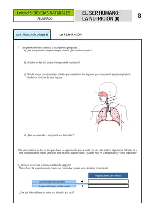 Unidad 5 CIENCIAS NATURALES                                            EL SER HUMANO:
                        ALUMNADO                                       LA NUTRICIÓN (II)
                                                                                                                                  8

cont. Ficha 3 (Actividad 3)                     LA RESPIRACIÓN



 1-     Lee primero el texto y contesta a las siguientes preguntas:
          a) ¿Por qué parte del cuerpo se inspira el aire? ¿Por dónde se espira?



          b) ¿Cuáles son las dos partes o tiempos de la respiración?



          c) Pinta la imagen con dos colores distintos para señalar los dos órganos que componen el aparato respiratorio.
             Escribe los nombres de esos órganos.




          d) ¿Qué pasa cuando el oxígeno llega a las células?




 2- Os vais a colocar de dos en dos para hacer un experimento. Vais a medir con una cinta métrica el perímetro del tórax de la
    otra persona cuando inspira (antes de soltar el aire) y cuando espira. ¿Cuánto mide en la inspiración? ¿Y en la espiración?



 3- ¿Siempre se necesita la misma cantidad de oxígeno?
    Vais a hacer la siguiente prueba: tenéis que comprobar cuántas veces inspiráis en un minuto

                                                                                   Inspiraciones por minuto

                       - cuando estáis descansados
                       - después de haber corrido mucho

      ¿Por qué habrá diferencias entre una situación y la otra?
 