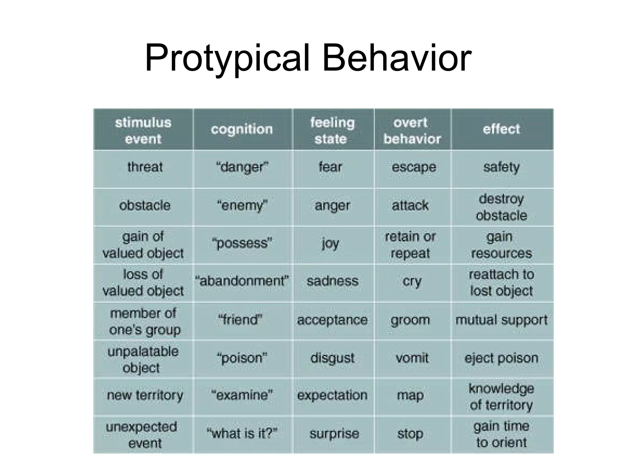 Protypical Behavior  