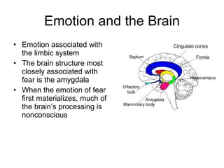 Emotion and the Brain Emotion associated with the limbic system The brain structure most closely associated with fear is the amygdala When the emotion of fear first materializes, much of the brain’s processing is nonconscious 