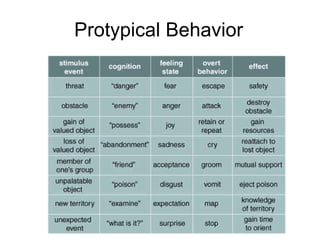 Protypical Behavior  