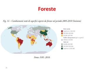 Foreste 